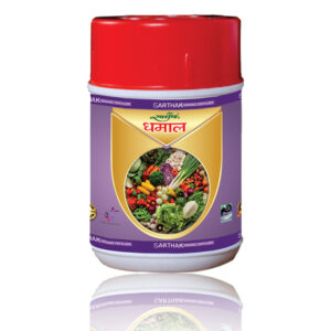 Dhamal Powder