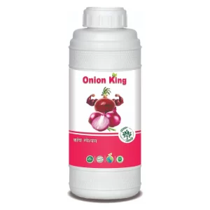 Onion king